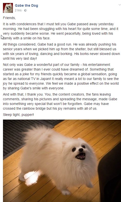 R.i.P, Gabe the Dog